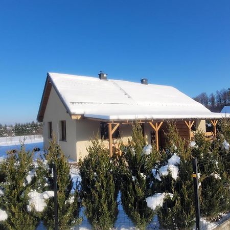 Villa Domek W Karkonoszach 2 Ściegny Exterior foto